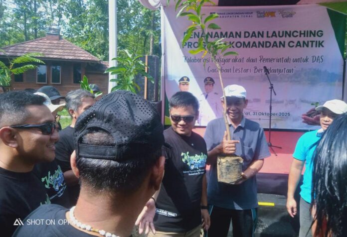 WhatsApp Image 2025-10-31 at 15.33.55