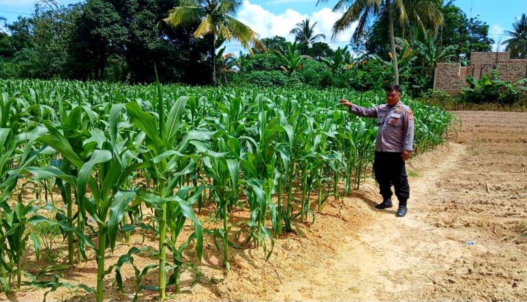 Polres Tarakan Ajak Warga Manfaatkan Lahan Produktif